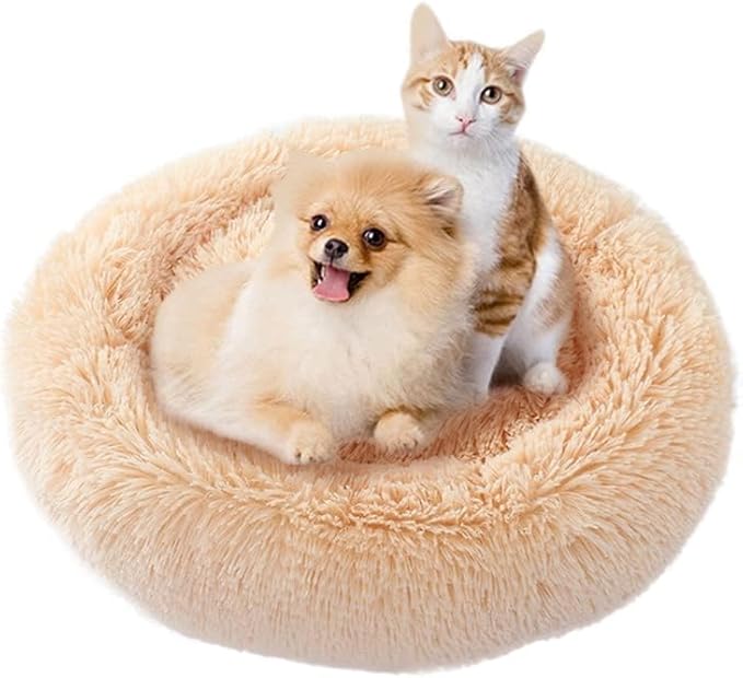 Cat Beds for Indoor Cats 20/24 inches,