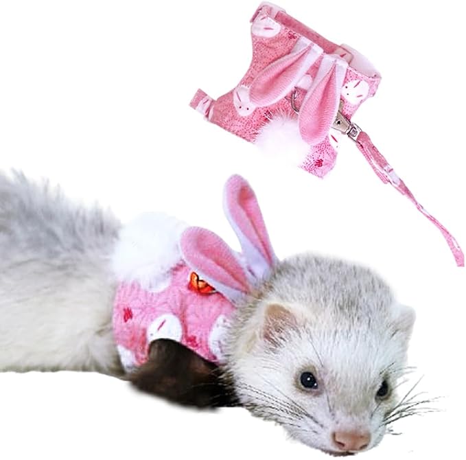 Ferret Harness and Leash Set with Bell Ferret