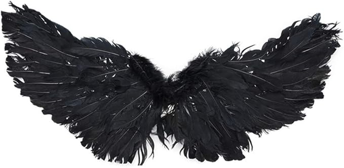WeeH Pet Halloween Costume Cosplay Angel Devil Black White Wing for Dog Cat Rabbit Piggy