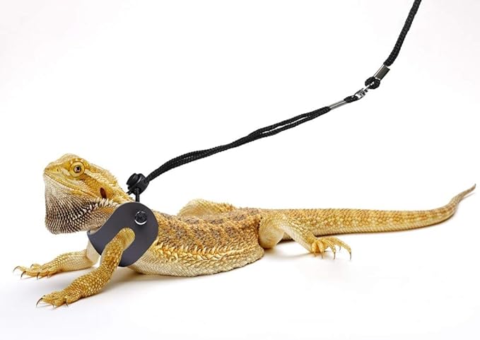 Bearded Dragon Harness and Leash Adjustable(S 3 Pack)