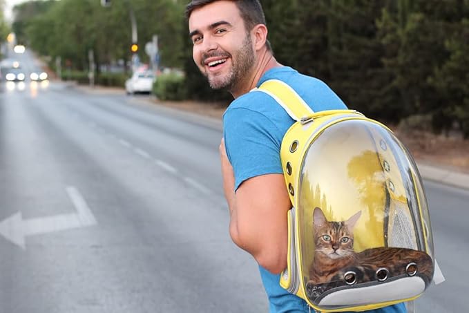 Cat Backpack Carrier