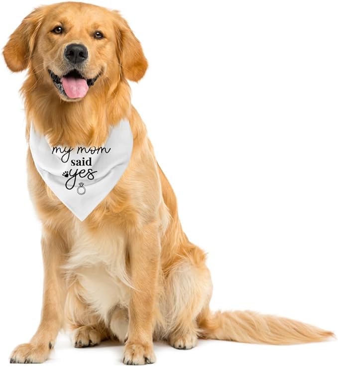 My Mom Said Yes Dog Bandana (C1)