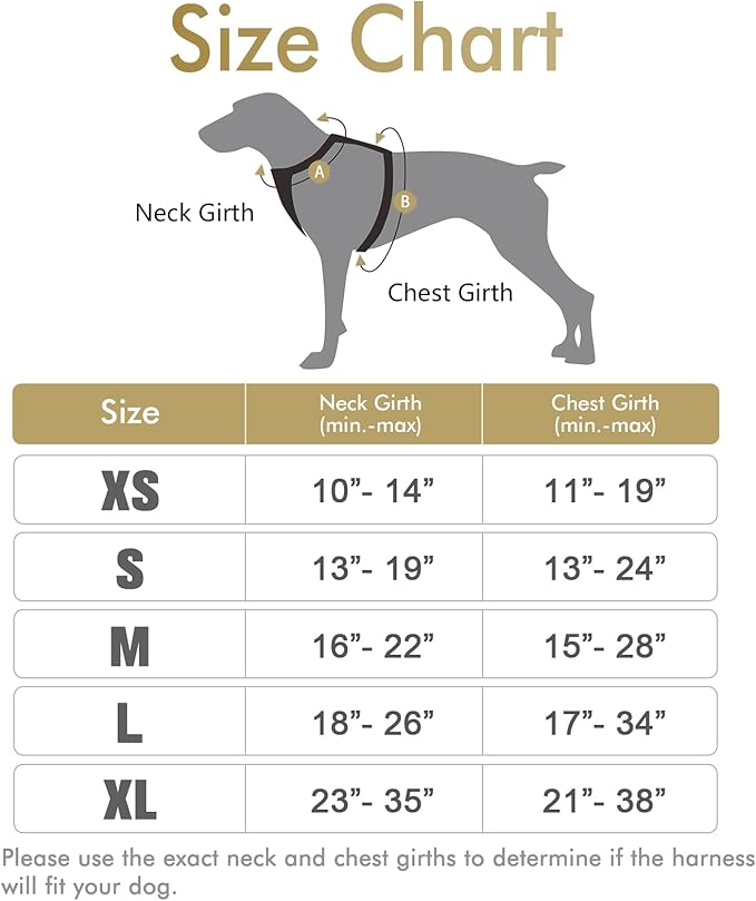 rabbitgoo Dog Harness 2 Leash