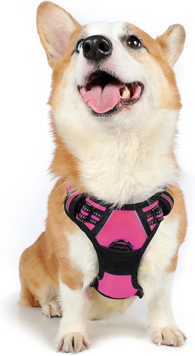 rabbitgoo Dog Harness 2 Leash