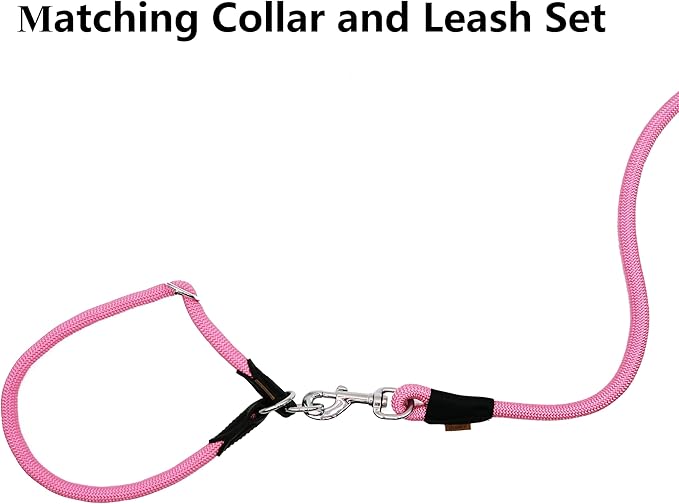 Dog Leash ((1/2") - 6FT, Pink)