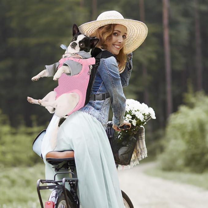 Inspack Dog Cat Backpack Carrier