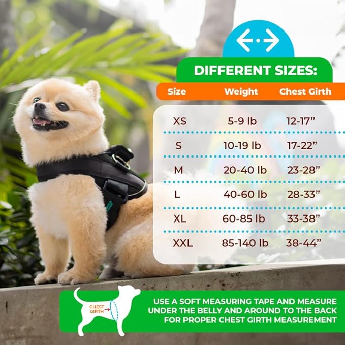 Joyride Harness 2.0 3 Leash