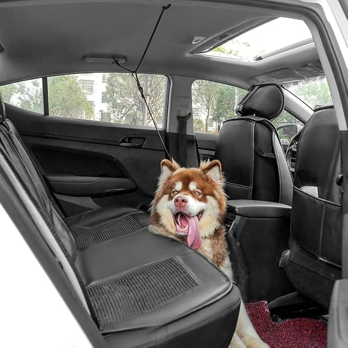 Dog Seatbelt (8 FT, 1 Dog)