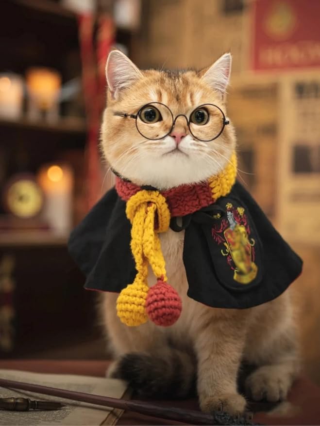 Cat Costumes 3 Piece Set with Glasses and Neckties