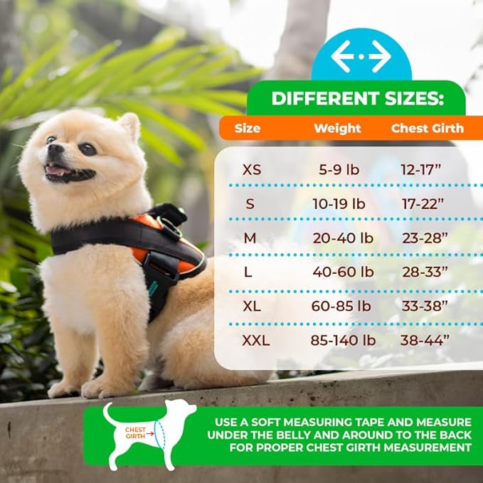 Joyride Harness 2.0 3 Leash