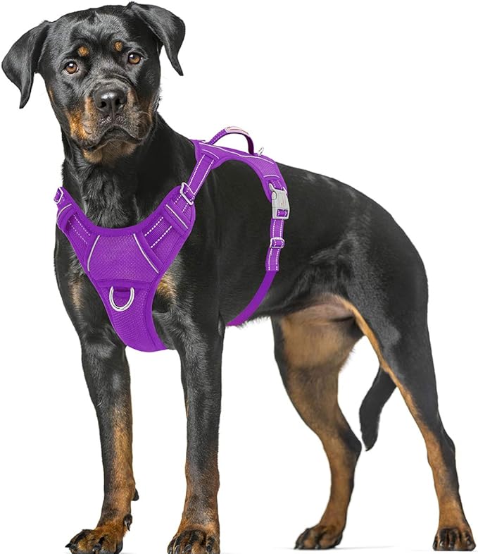 BARKBAY No Pull Dog Harness Large Step in Reflective Dog Harness with Front Clip and Easy Control Handle for Walking Training Running with ID tag Pocket(Purple