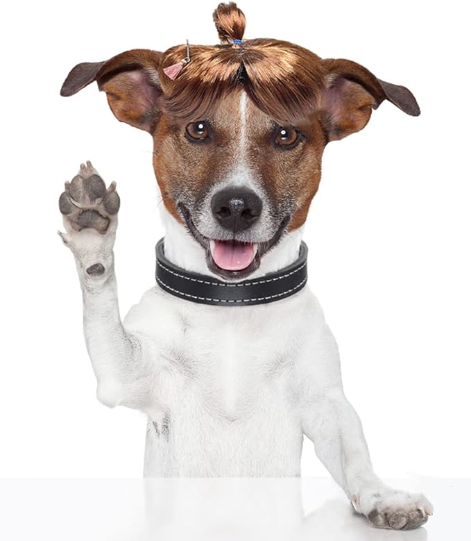 Dog Wig Pet Costumes