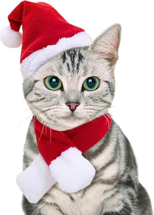 NAMSAN Cat Santa Hat Scarf Small Dog Christmas Costume Xmas Outfit Santa Claus Hat with Red Muffler for Kitten