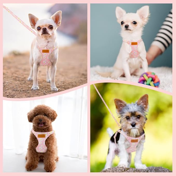 SlowTon No Pull Dog Harness with Leash
