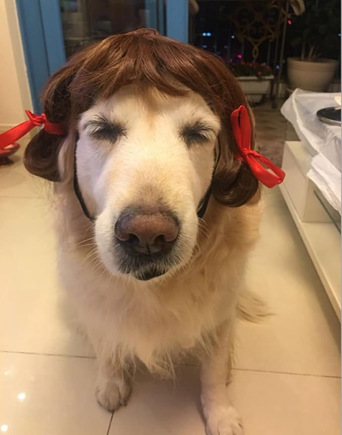 Dog Wig Pet Costumes