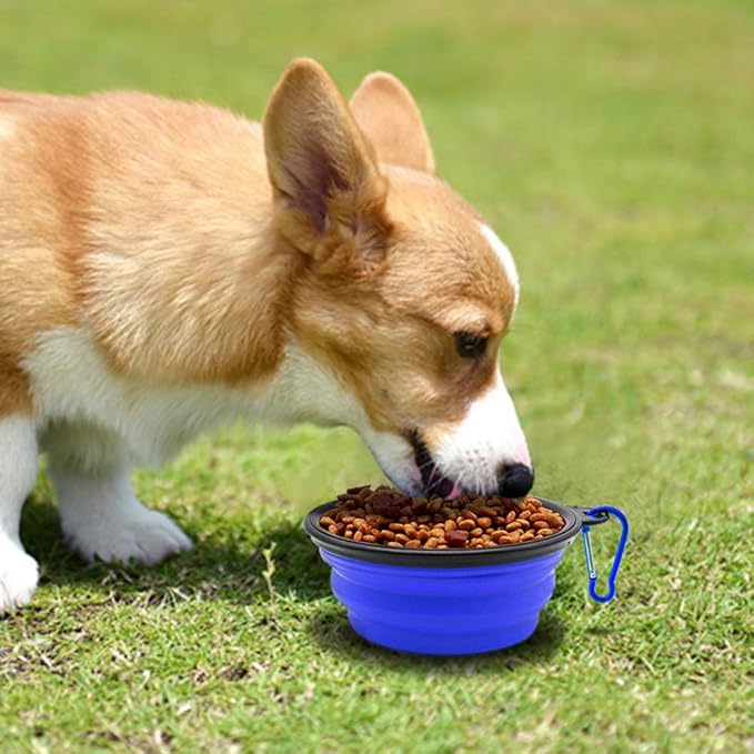 Dog Bowl Pet Collapsible Bowls 2 Pack 2 Carabiners
