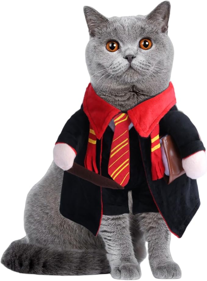 DELIFUR Dog Halloween Wizard Costume