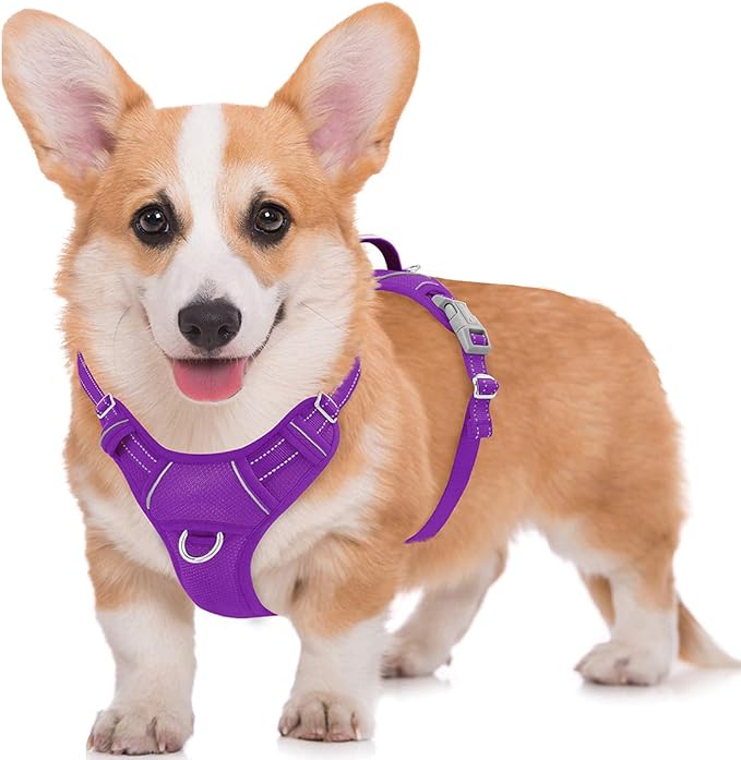 BARKBAY No Pull Dog Harness Large Step in Reflective Dog Harness with Front Clip and Easy Control Handle for Walking Training Running with ID tag Pocket(Purple