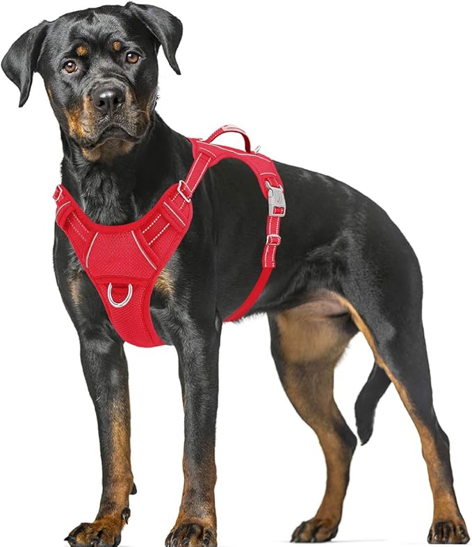 BARKBAY No Pull Dog Harness Large Step in Reflective Dog Harness with Front Clip and Easy Control Handle for Walking Training Running with ID tag Pocket(Red