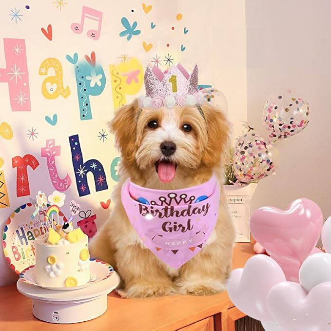 Dog Birthday Party Supplies Set,Boy Girls Dog Birthday Bandana,Cute Small dog Birthday Hat,Tutu,Dog Bow Tie Collar with 0-8 Numbers,Birthday Decorations for pet,Dogs&cats First Birthday (pink-1, Small