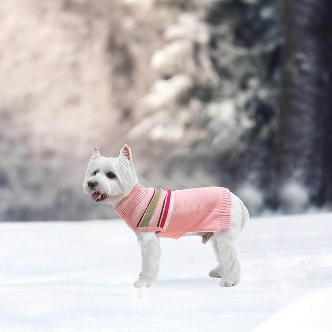PAWCHIE Dog Sweater