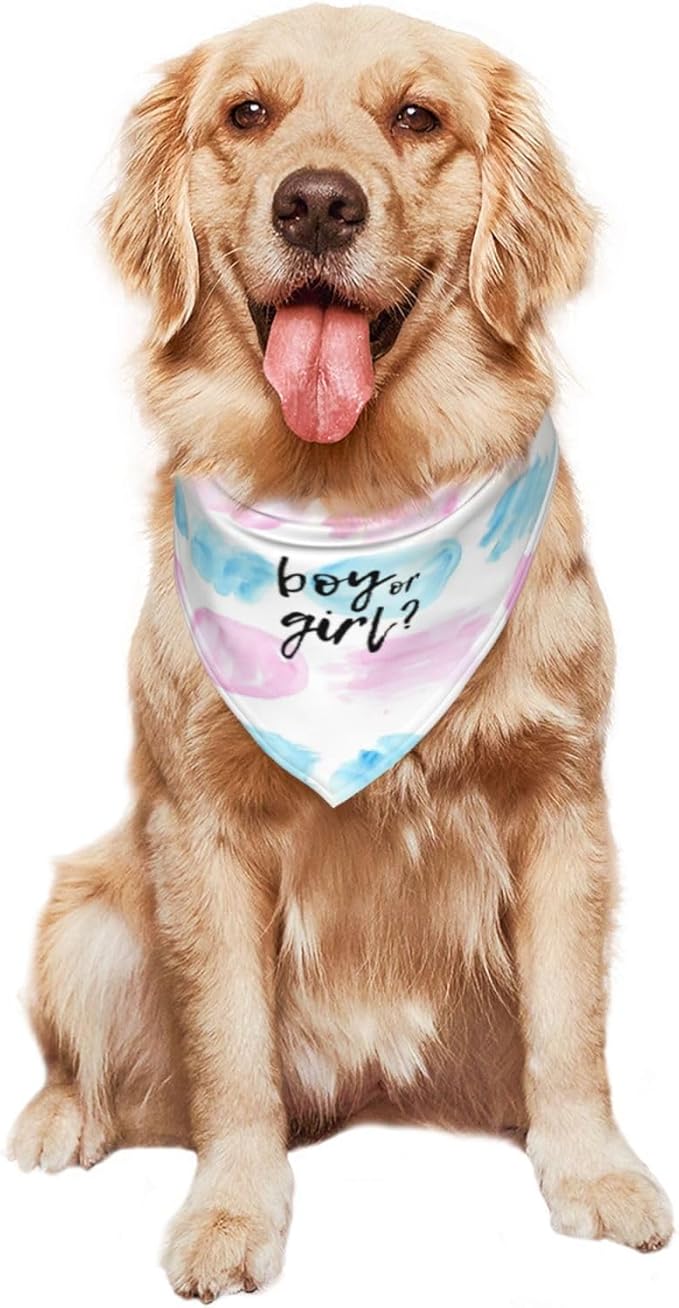 He Or She What Will It Be? Gender Reveal/Baby Announcement Dog Bandana,Pet Neckerchief for Pets Daily Wear Photo Prop Party Supplies (Color Block-1)