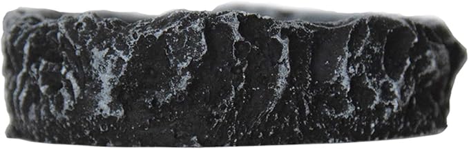 2 Pack Reptile Water Dish Reptile Water and Food Bowls Reptile Feeding Dish (2Pcs Round)