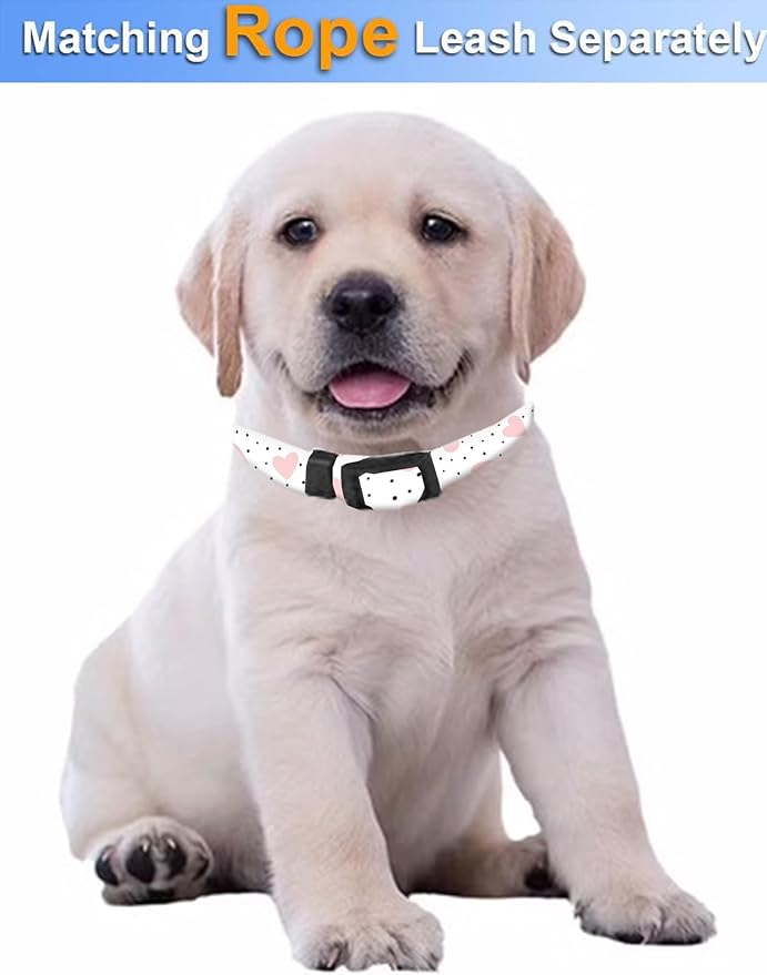 Dog Collar