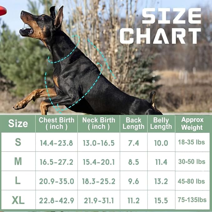 BUMBIN Tactical Dog Harness for Large Dogs No Pull