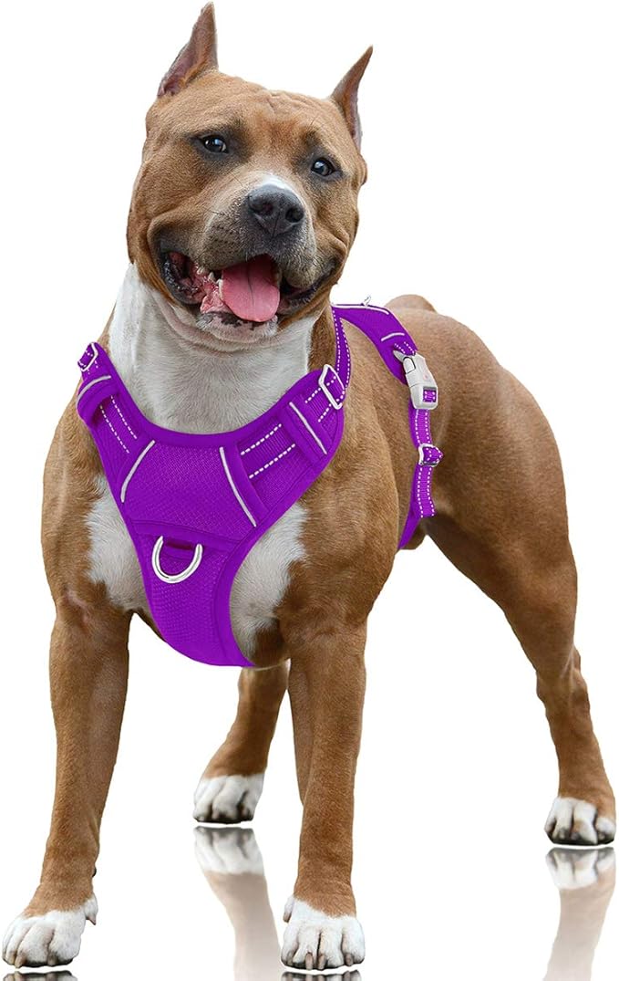 BARKBAY No Pull Dog Harness Large Step in Reflective Dog Harness with Front Clip and Easy Control Handle for Walking Training Running with ID tag Pocket(Purple