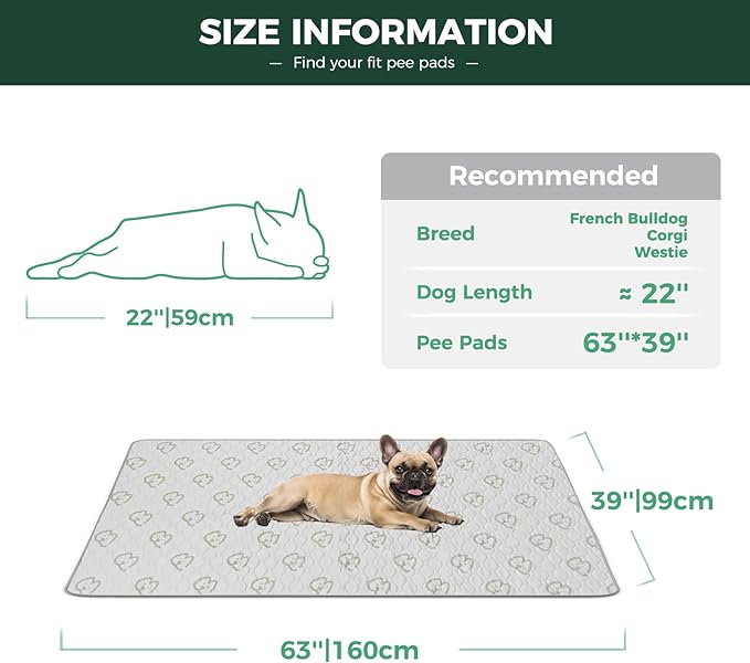 FXW Washable Pee Pads for Dogs 63" x 39", Specifically 24inch 6