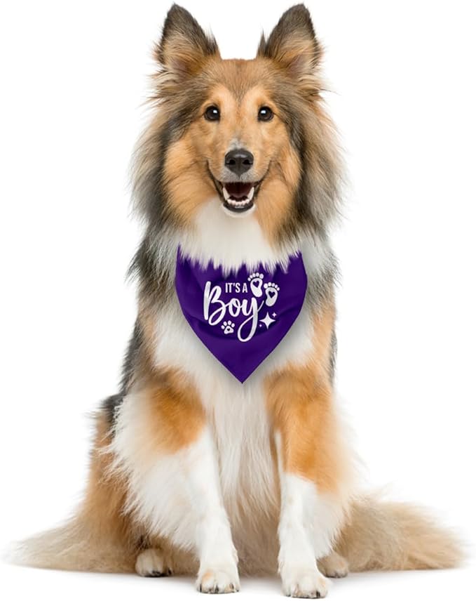 It's A Boy Dog Bandana, Purple Dog Bandana, Gender Reveal Dog Bandana, Dog Bandana Pregnancy Announcement, Dog Bandana for Small Medium Large Dog, Pet Dog Triangle Scarf, Gift for Dog Lover (E56)