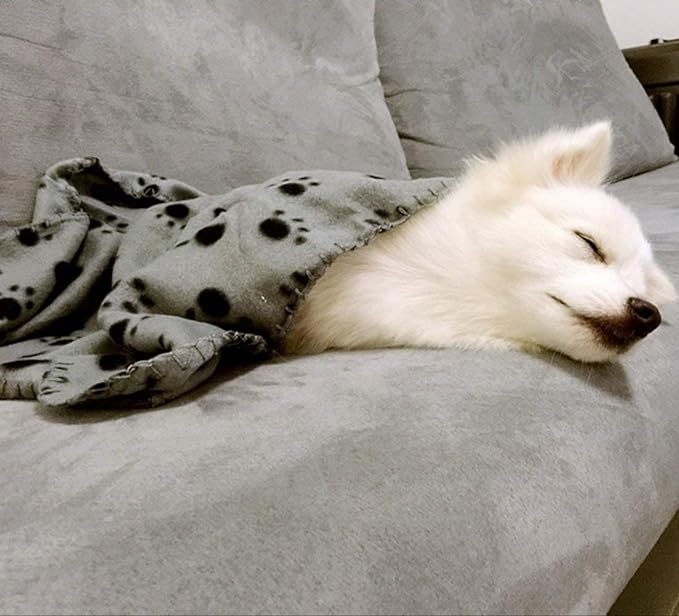 Comsmart Warm Paw Print Blanket/Bed Cover for Dogs