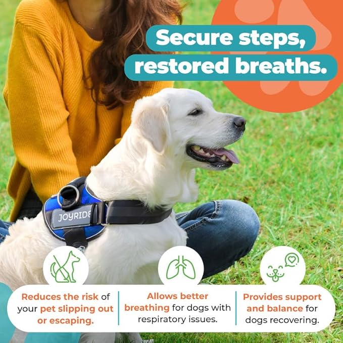 Joyride Harness 2.0 3 Leash