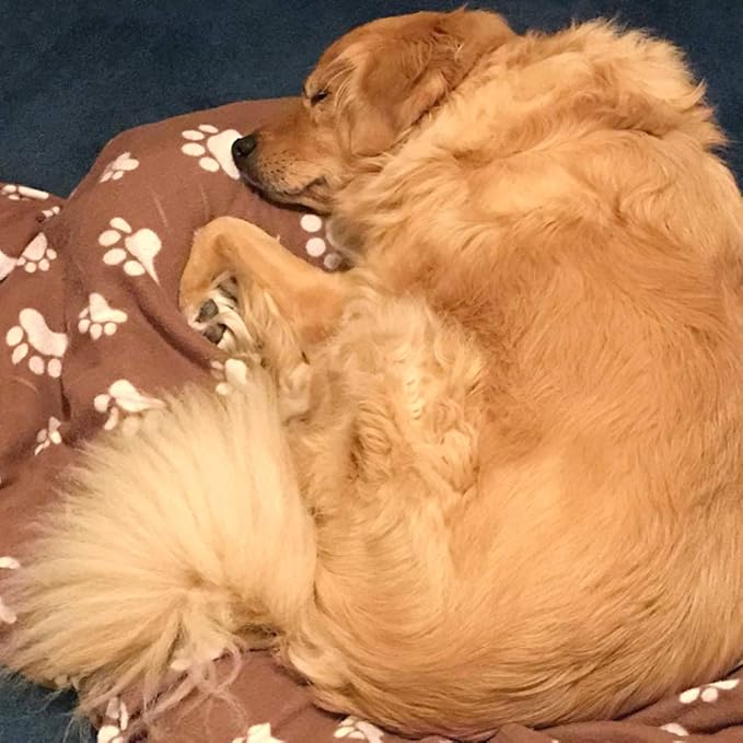 Comsmart Warm Paw Print Blanket/Bed Cover for Dogs