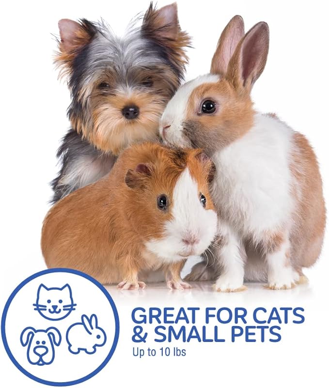 Petmate Two Door or Top Load Pet Kennel Carrier for Pets up to 10 Pounds 19 Inches