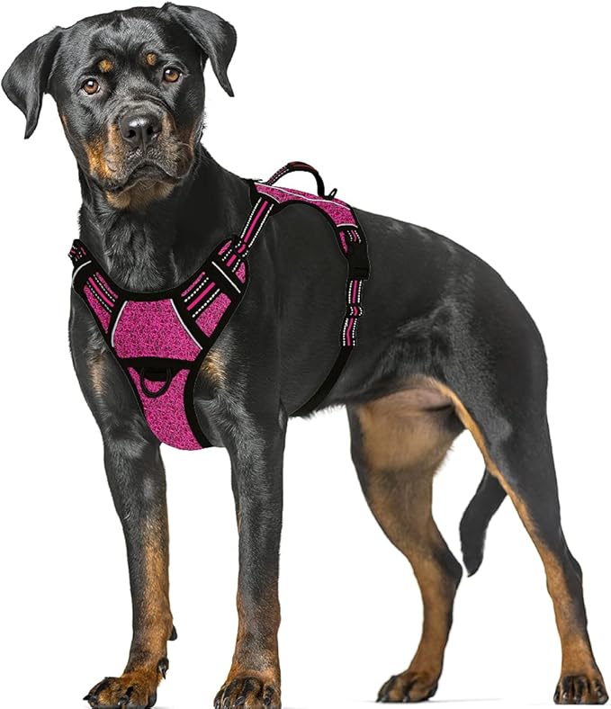 BARKBAY No Pull Dog Harness Large Step in Reflective Dog Harness with Front Clip and Easy Control Handle for Walking Training Running with ID tag Pocket(Pink/Black