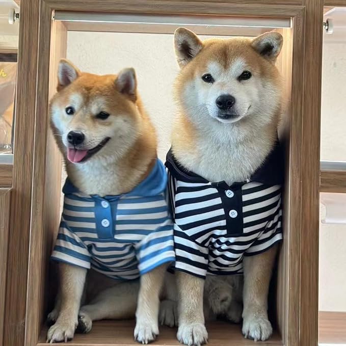 Cute Dog Clothes Striped Dog Polo Shirts Cute Sweater Puppy Clothes Gentle Sweater Pet Clothes for Small Medium Large Dogs Cats (Blue Stripe 4XL Size 55-65lb Pets)
