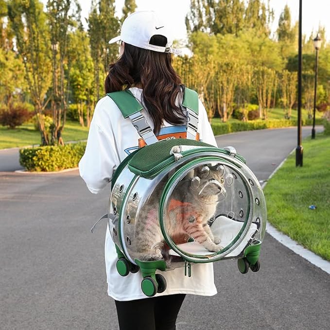 Available pet Trolley Box Full Transparent Dog Bag