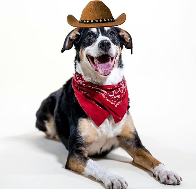 Dog Cowboy Hat Cat Cowboy Hat Mini Cowboy Hat for Dogs Cat Pet Cowboy Costume with Bandana Scarf Holiday Halloween Pet Party Decoration (brown