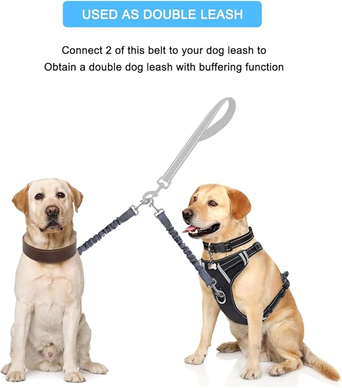 Dog Seat Belt for Bike Basket