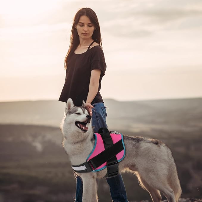 Bolux Dog Harness 1)