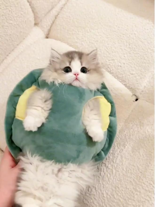 Cute Cat Costumes Turtle Shell Kawaii Kitten Clothes Dog Puppy Vest Pet Apparel (Small