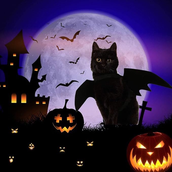 Cat Halloween Costume Bat Wings Pet Apparel Halloween