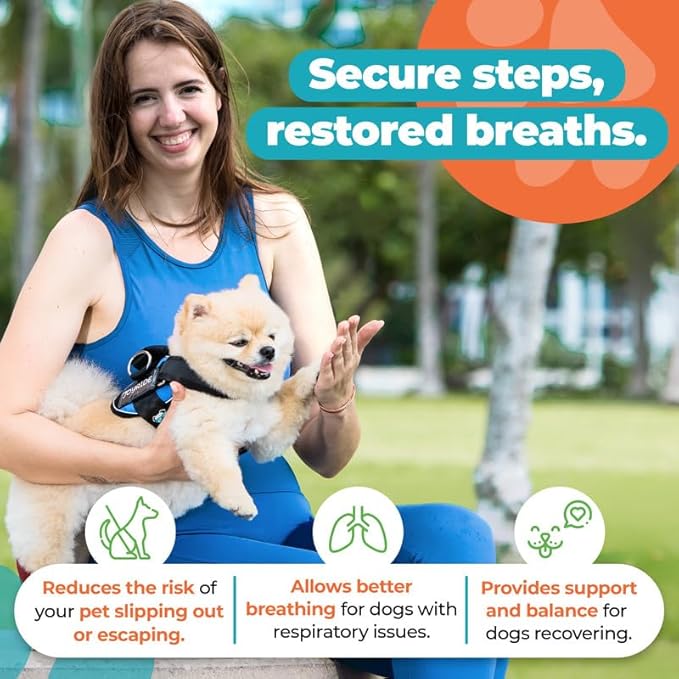 Joyride Harness 2.0 3 Leash