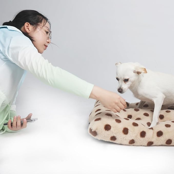 30 Inch Dog Crate Mat Warm and Comfortable 30x19 Crate Bed 30, Beige