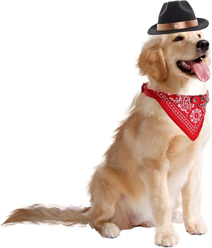 Fumwase Small Dog Cowboy Hat Halloween Costumes