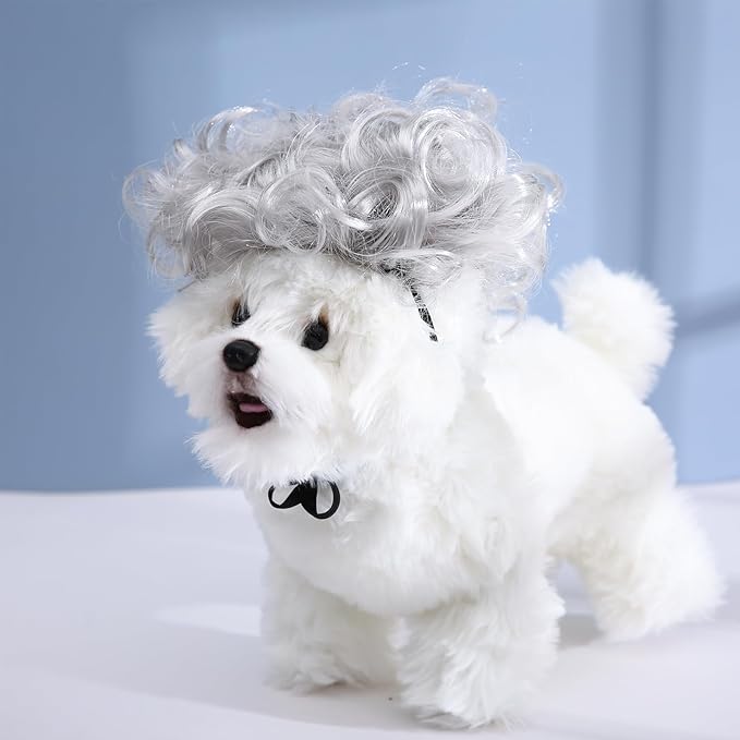 Funny Dog Cat Cosplay Wig