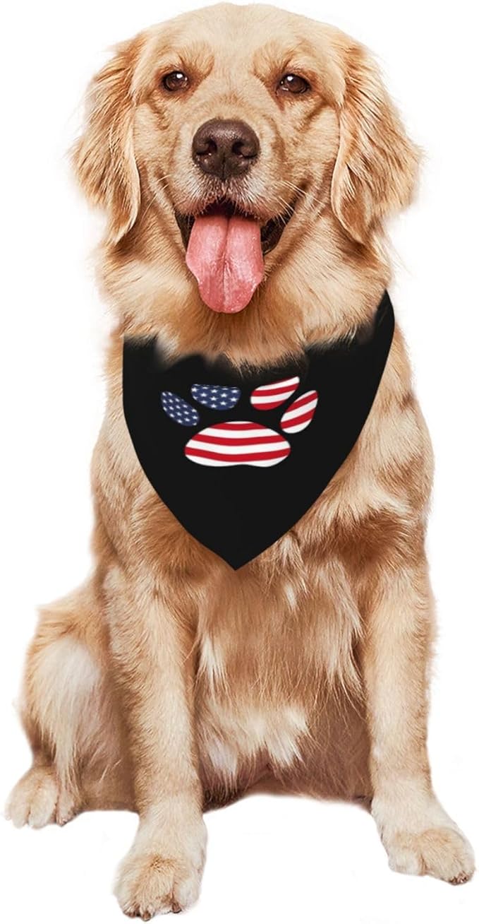 Costume Accessory Set Pet Dog Bandana