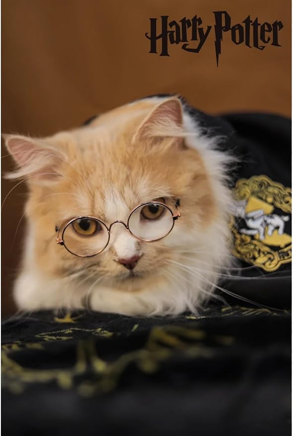 Cat Costumes 3 Piece Set with Glasses and Neckties